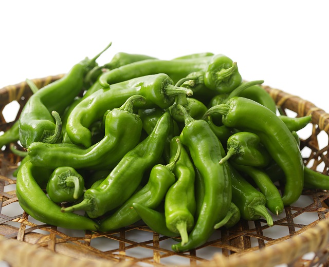 季節の食材